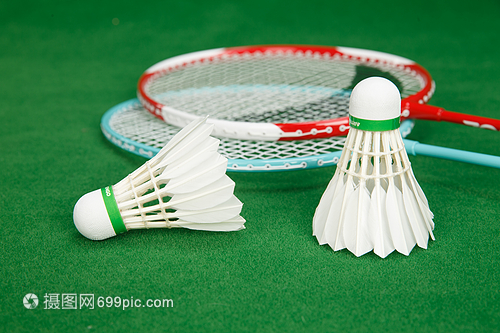 奥尔良羽毛 奥尔良羽毛