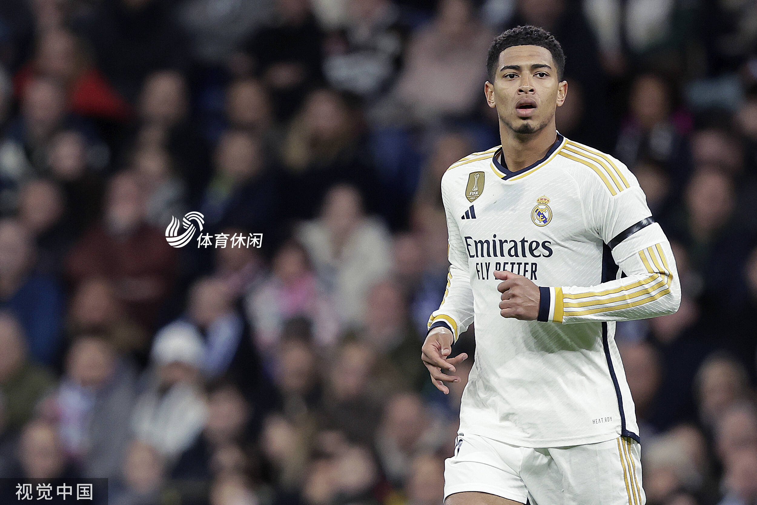 处理的球具 处理的球具